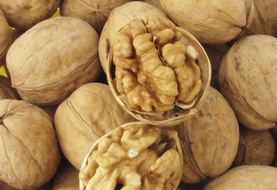 许昌价格合理的薄皮核桃供应信息及厂家介绍